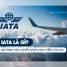 IATA là gì